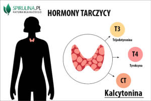 Kalcytonina