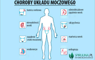 Choroby układu moczowego