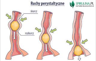 Ruchy perystaltyczne