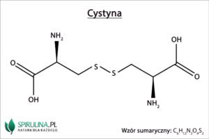 Cystyna