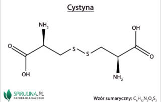 Cystyna