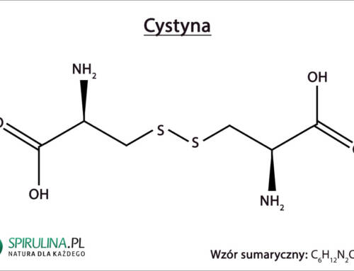 Cystyna