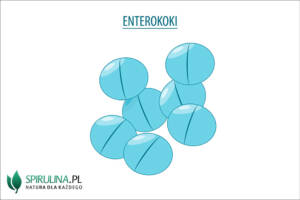 Enterokoki (Enterococcus)