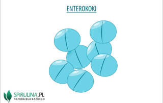 Enterokoki (Enterococcus)