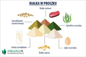 Białka w proszku