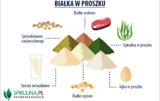 Białka w proszku