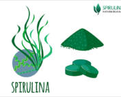 Zielononiebieska Spirulina