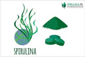 Zielononiebieska Spirulina