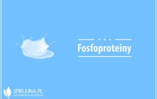 Fosfoproteiny