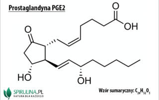 Prostaglandyny