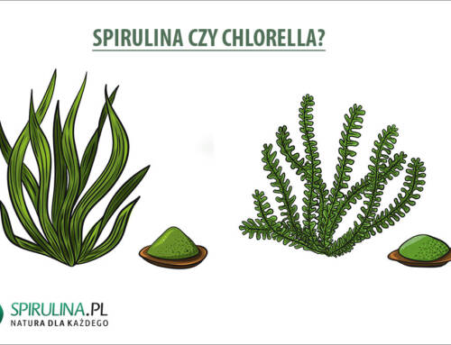 Spirulina czy Chlorella