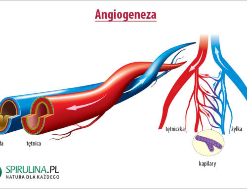 Angiogeneza