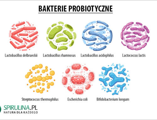 Bakterie probiotyczne