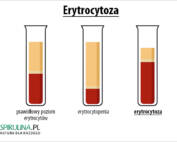 Erytrocytoza