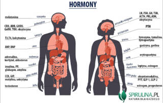 Hormony