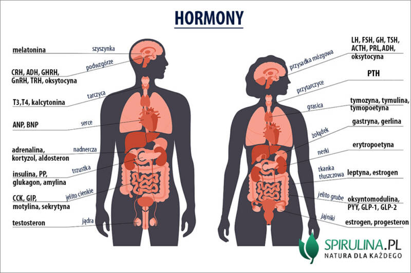 Hormony - algi Spirulina i Chlorella