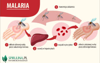 Malaria