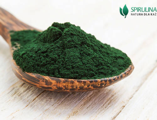 Sproszkowana Spirulina