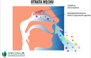 Utrata węchu