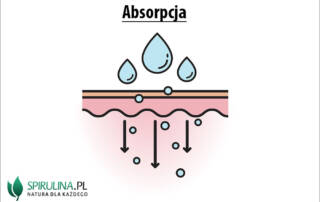 Absorpcja