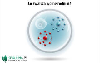 Co zwalcza wolne rodniki?