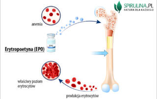 Erytropoetyna