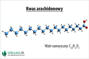 Kwas arachidonowy