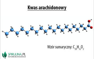 Kwas arachidonowy