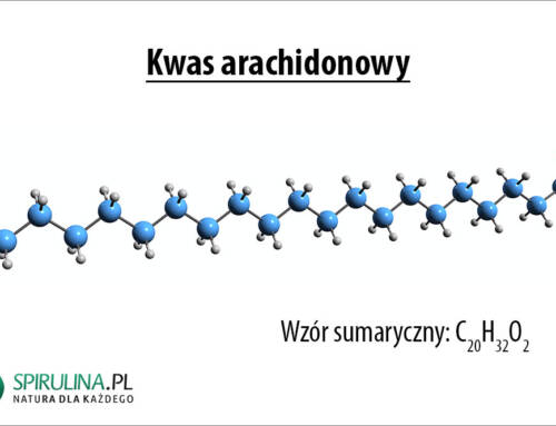 Kwas arachidonowy