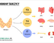 Hormony tarczycy