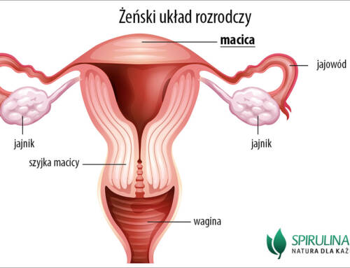 Macica