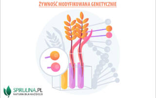 Żywność modyfikowana genetycznie