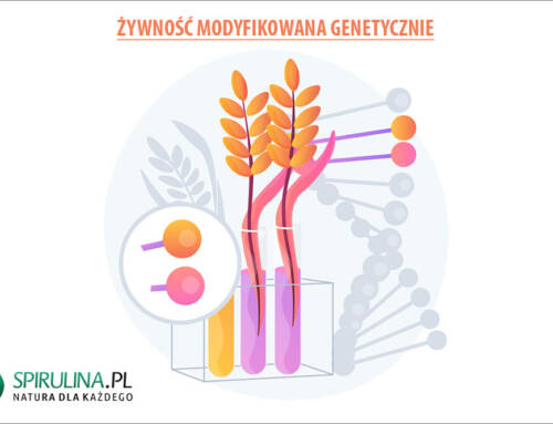 Żywność modyfikowana genetycznie