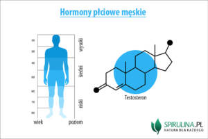 Hormony płciowe męskie