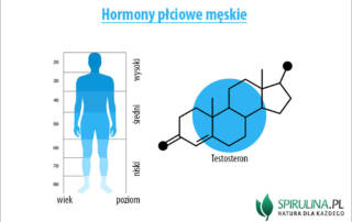 Hormony płciowe męskie