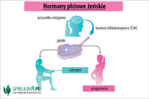 Hormony płciowe żeńskie