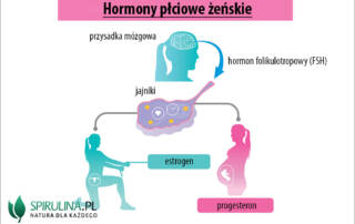 Hormony płciowe żeńskie