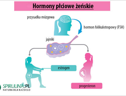 Hormony płciowe żeńskie