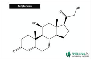 Kortykosteron