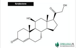 Kortykosteron