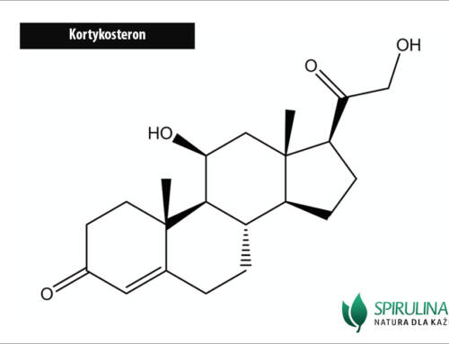 Kortykosteron