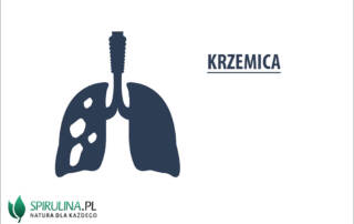 Krzemica