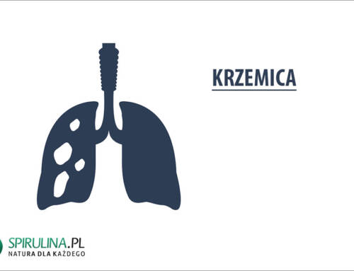 Krzemica