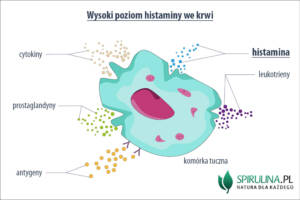 Wysoki poziom histaminy we krwi