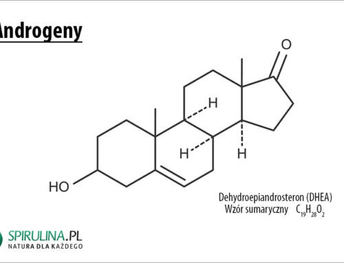 Androgeny