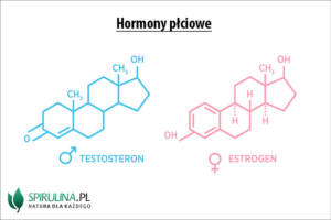 Hormony płciowe