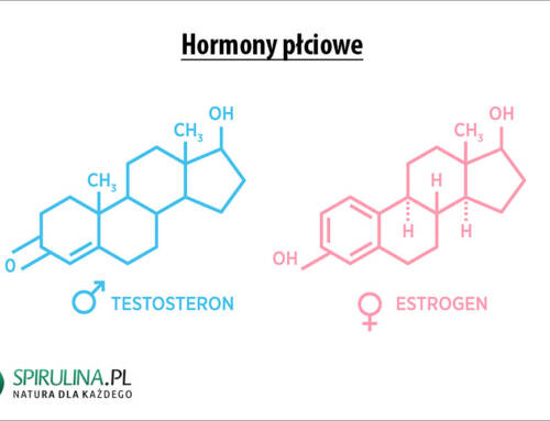 Hormony płciowe