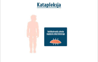 Katapleksja