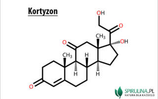 Kortyzon
