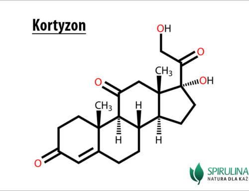 Kortyzon
